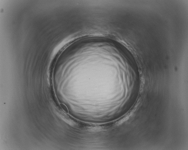 X0000081490246200702021930