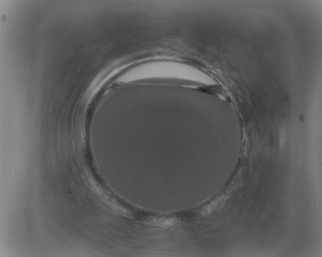 X0000081490247200702021930