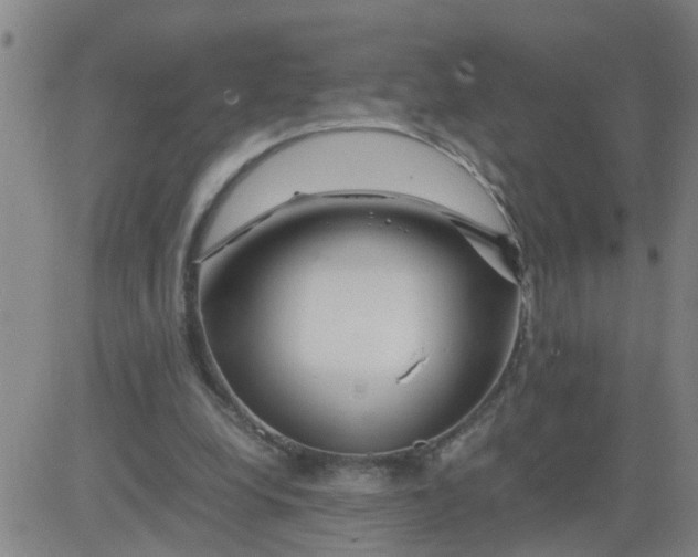 X0000081490248200702021930