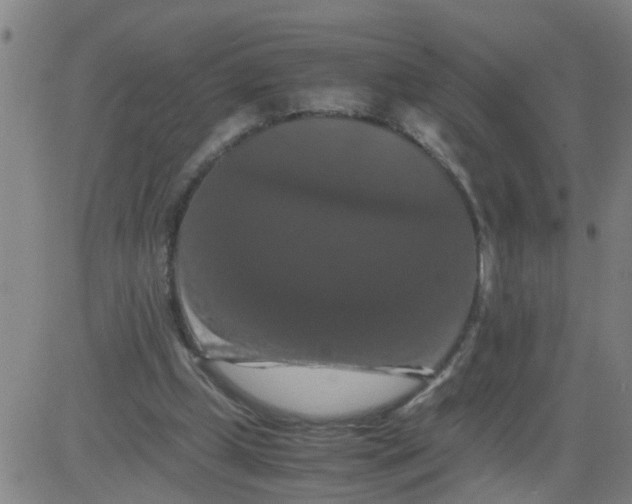 X0000081490249200702021930