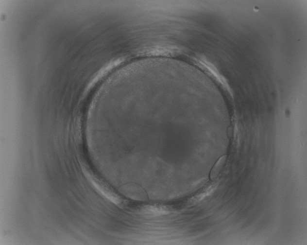 X0000081490250200702021930