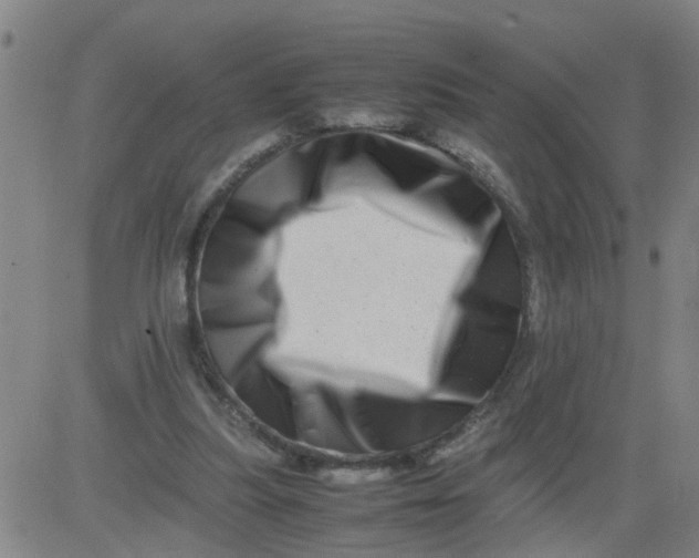 X0000081490251200702021930