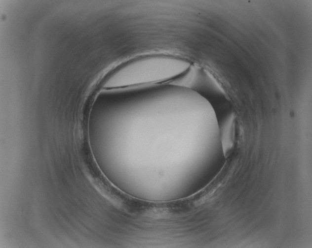 X0000081490252200702021930