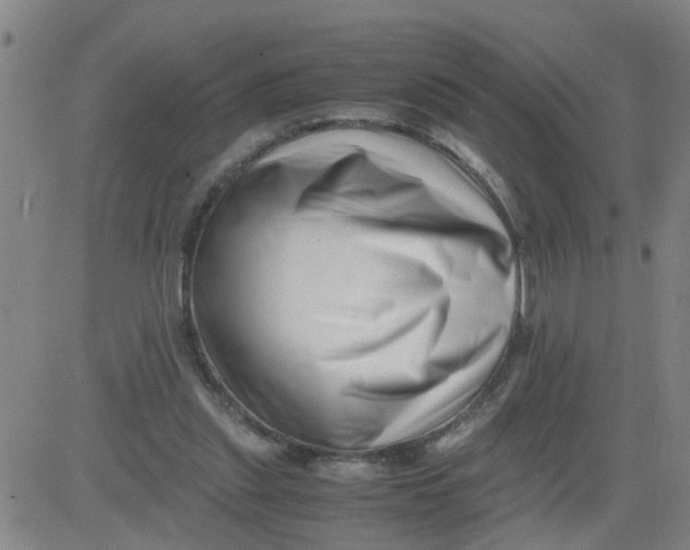 X0000081490253200702021930