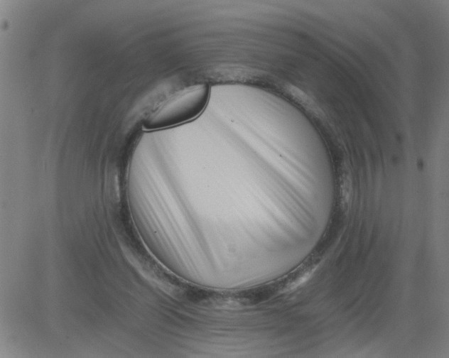 X0000081490254200702021930