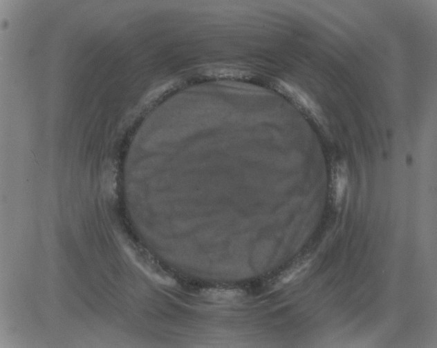 X0000081490255200702021930