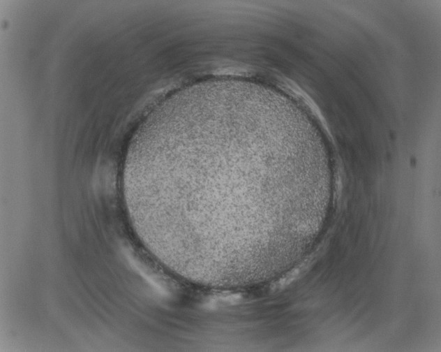 X0000081490257200702021930