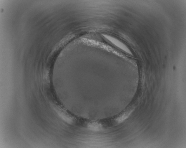 X0000081490258200702021930