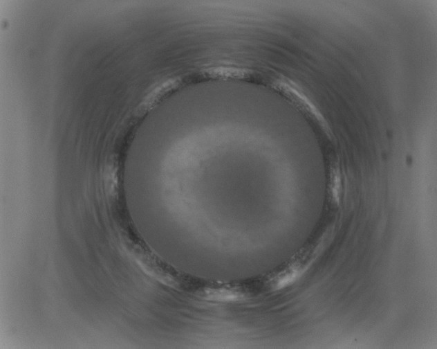 X0000081490259200702021930