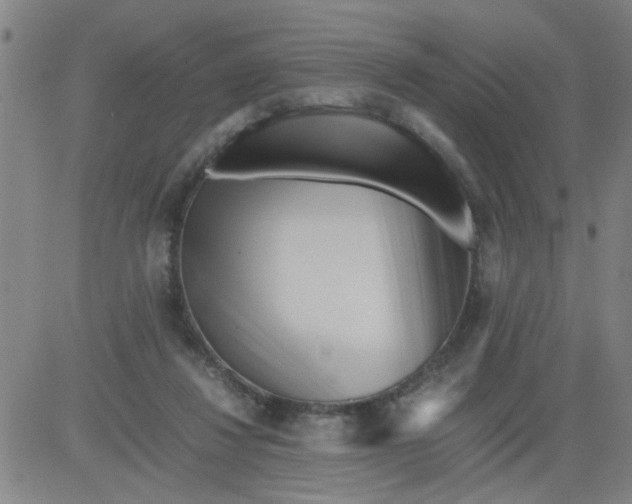 X0000081490260200702021930