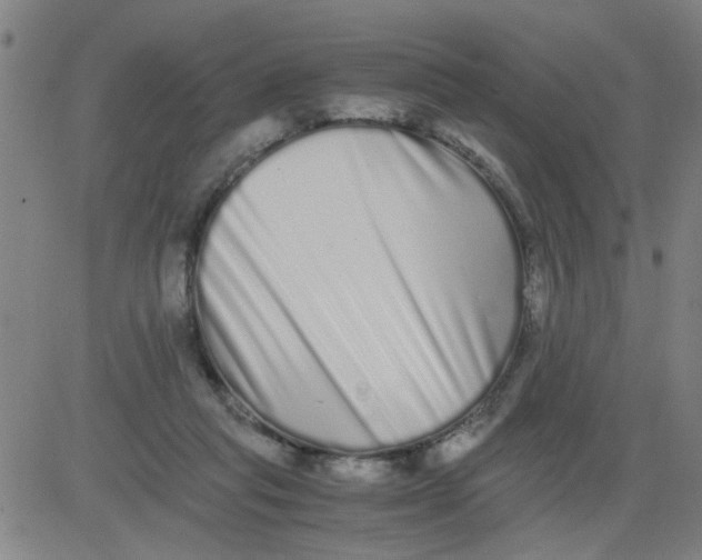 X0000081490261200702021930