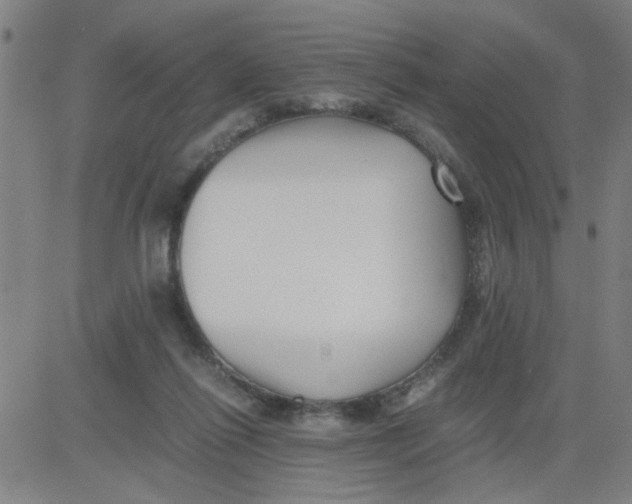 X0000081490262200702021930