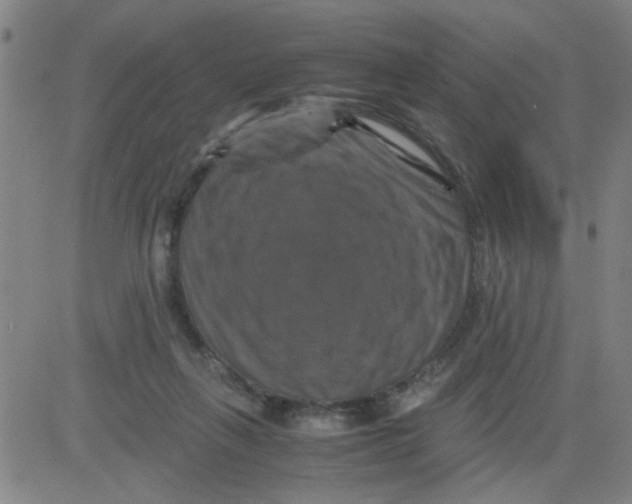 X0000081490263200702021930