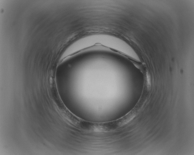 X0000081490264200702021930