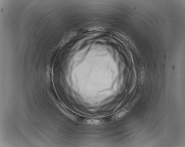 X0000081490265200702021930