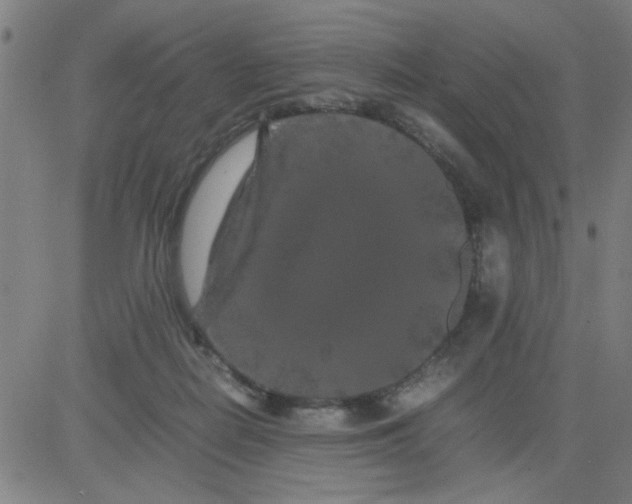 X0000081490266200702021930