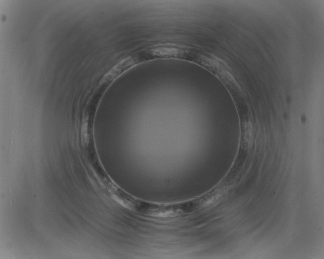 X0000081490267200702021930