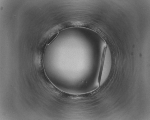 X0000081490268200702021930