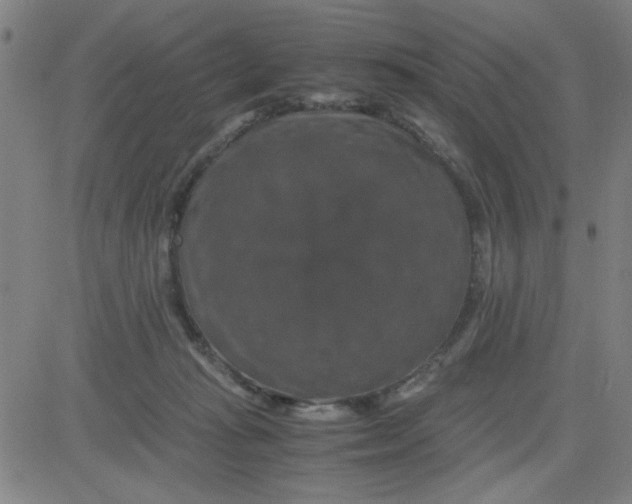 X0000081490269200702021930