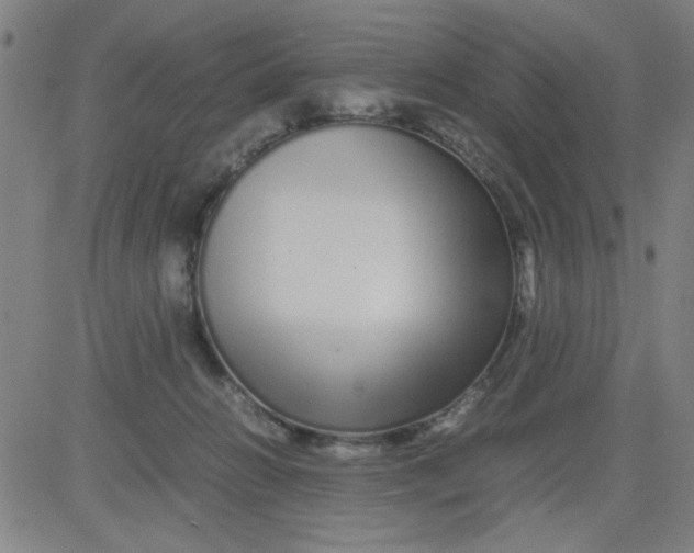 X0000081490270200702021930