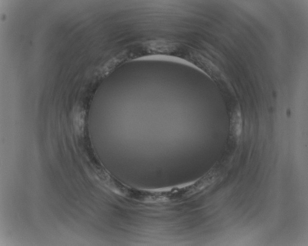 X0000081490271200702021930