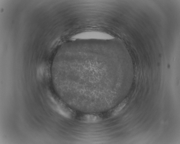 X0000081490272200702021930