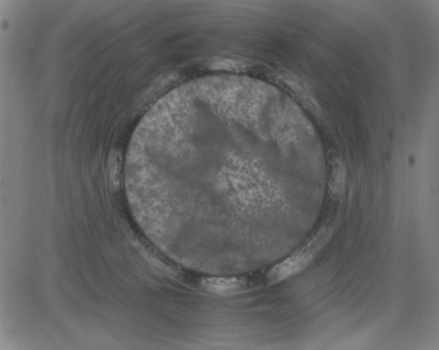 X0000081490273200702021930