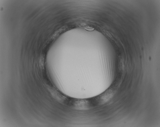 X0000081490274200702021930