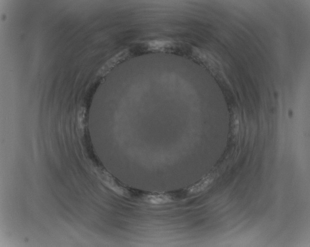 X0000081490275200702021930