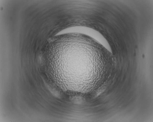 X0000081490276200702021930