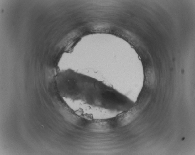 X0000081490278200702021930