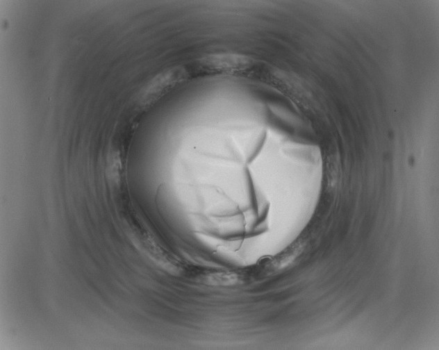 X0000081490279200702021930