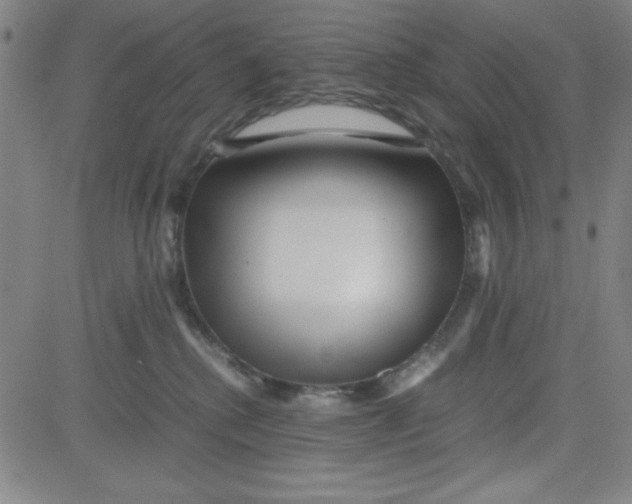 X0000081490280200702021930