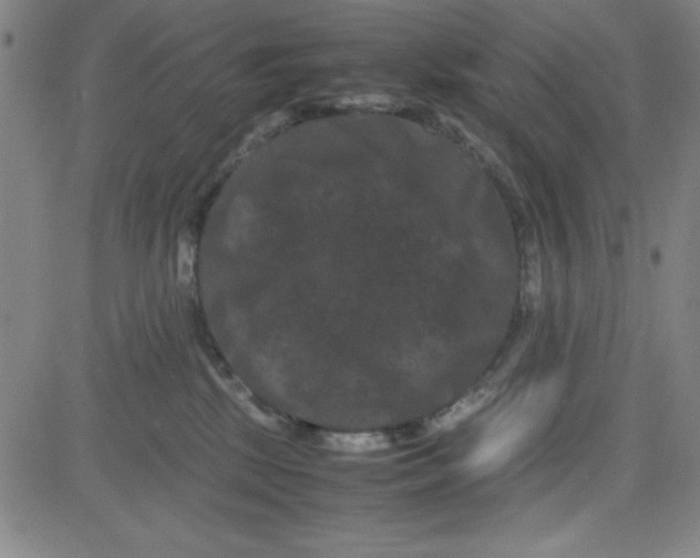 X0000081490281200702021930