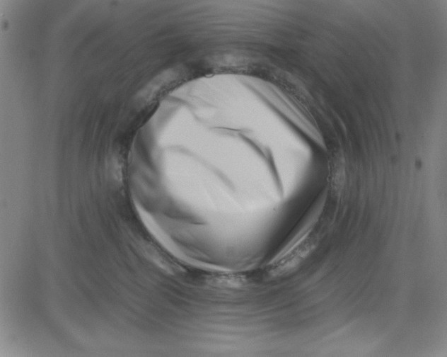 X0000081490282200702021930