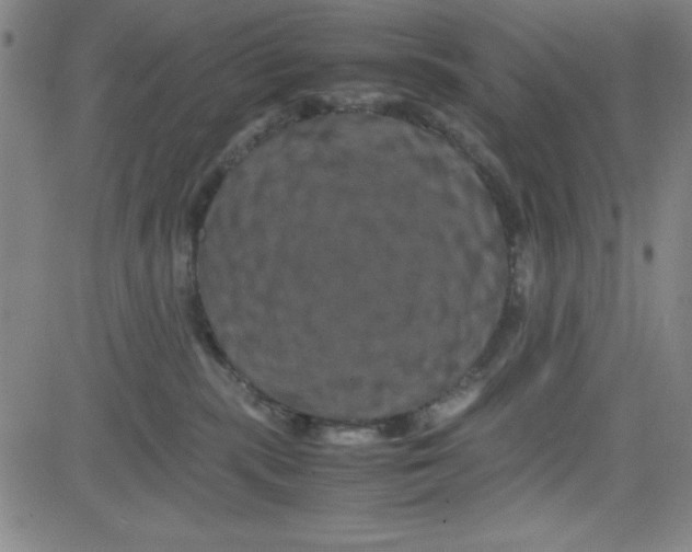 X0000081490283200702021930