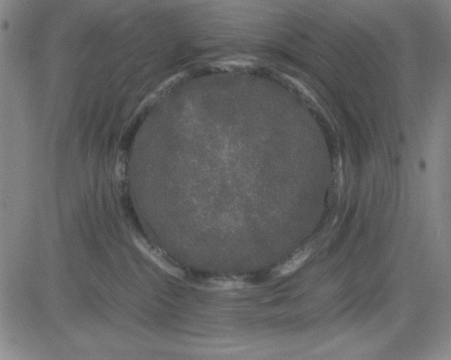 X0000081490284200702021930