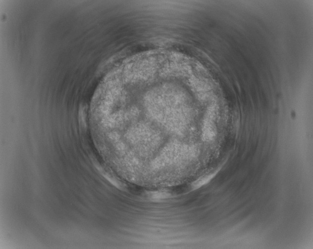 X0000081490286200702021930