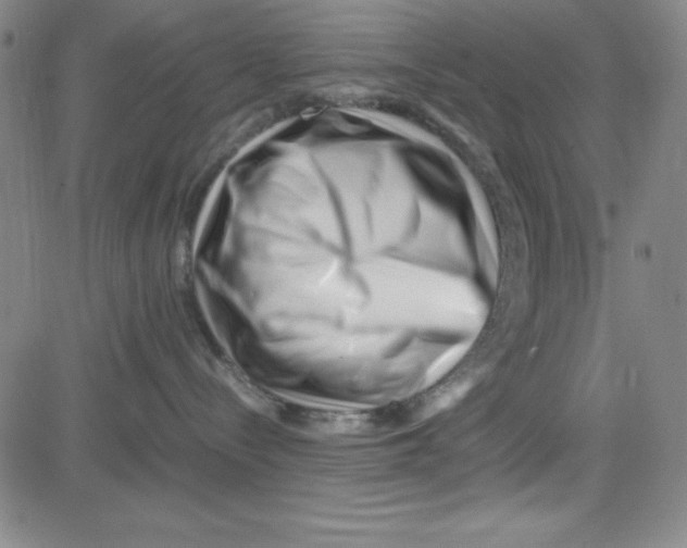 X0000081490288200702021930