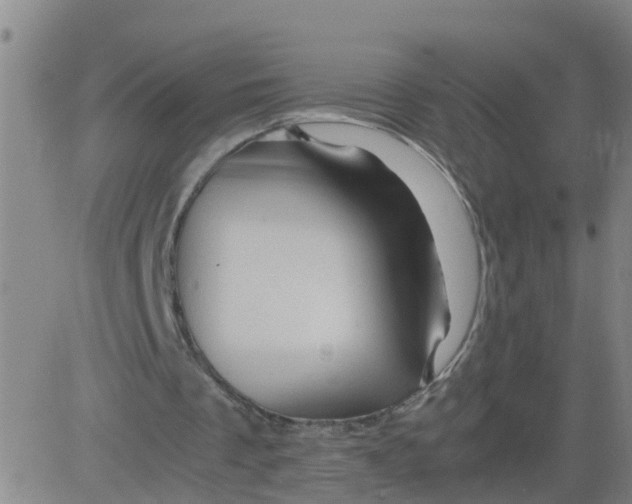 X0000081490289200702021930