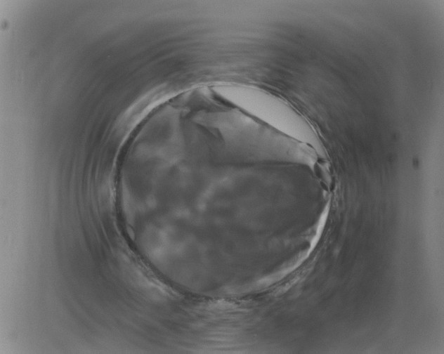 X0000081490290200702021930