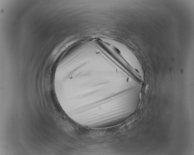 X0000081490291200702021930