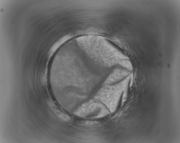 X0000081490292200702021930