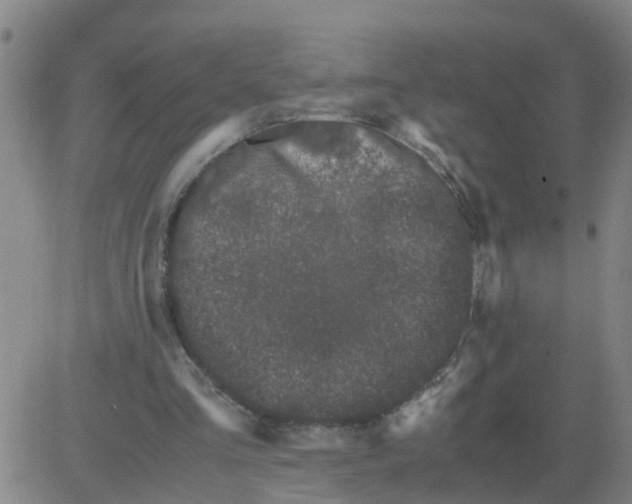 X0000081490293200702021929