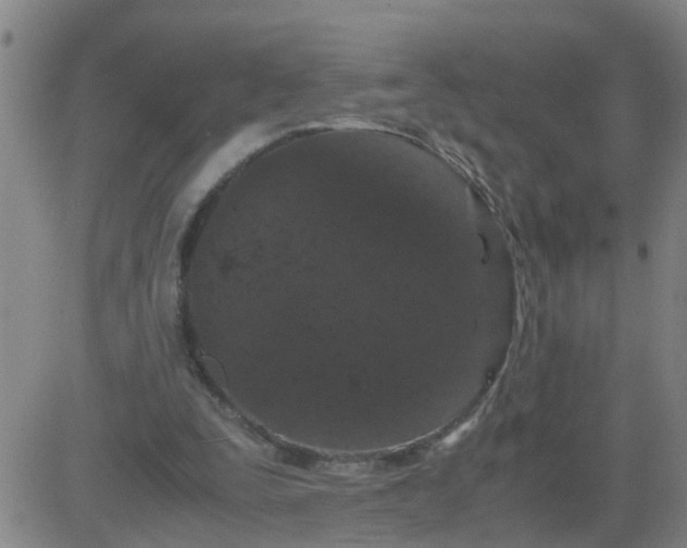 X0000081490295200702021929