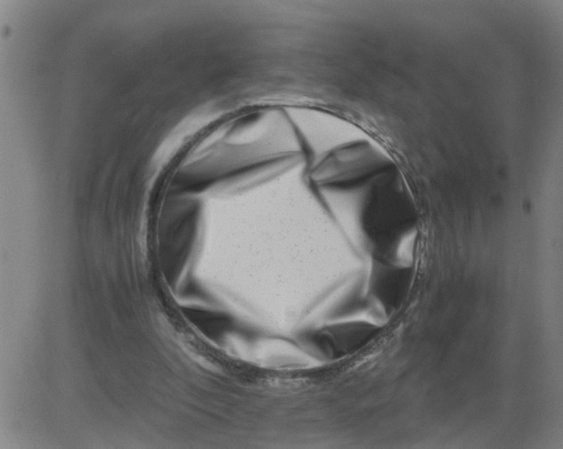 X0000081490296200702021929