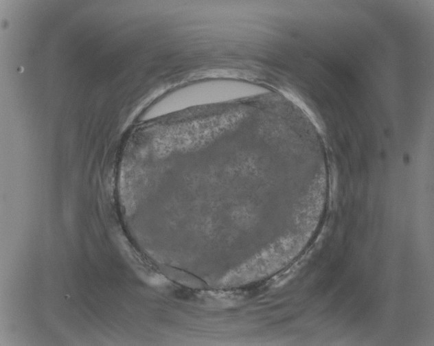 X0000081490297200702021929