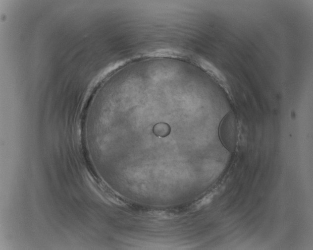 X0000081490298200702021929