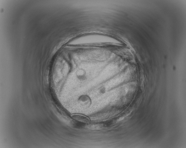 X0000081490299200702021929