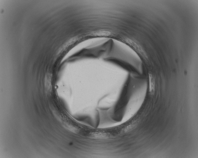 X0000081490300200702021929